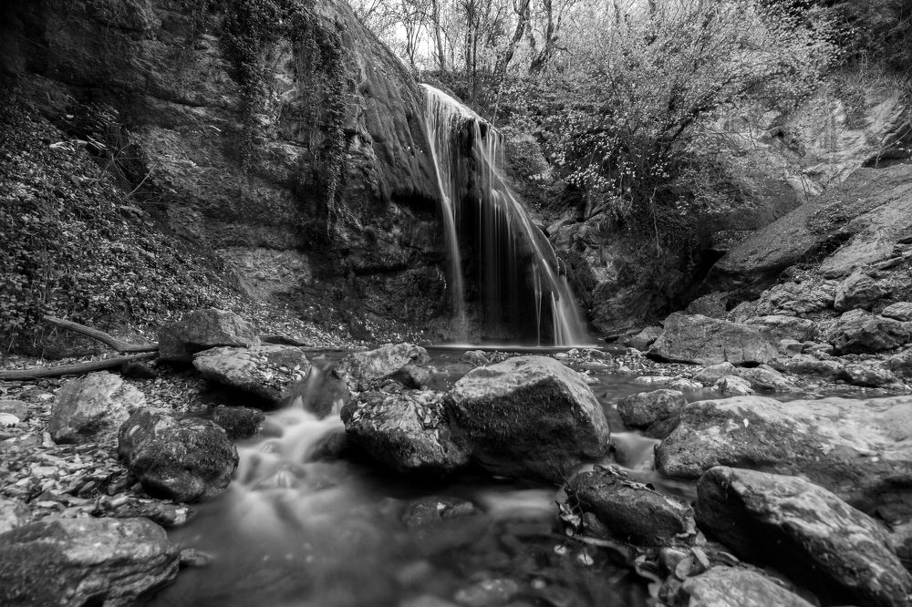 Photograph by Валерий Лейко