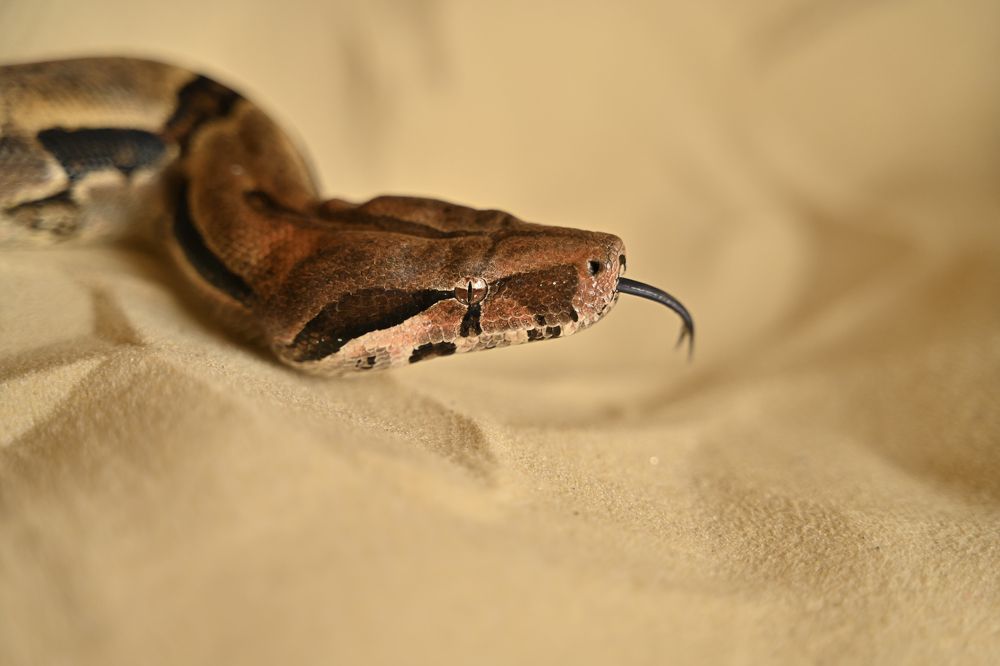 Photograph by Людмила Колядицкая