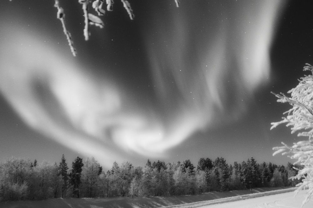 Фотография автора Светлана Терехова