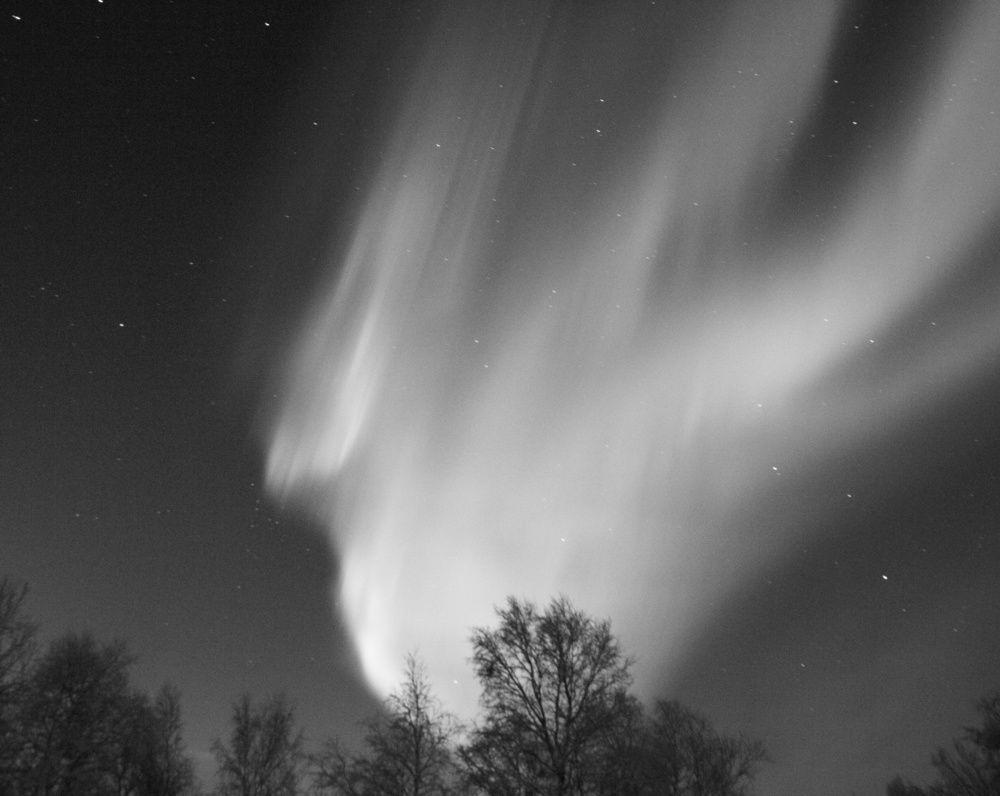 Фотография автора Светлана Терехова