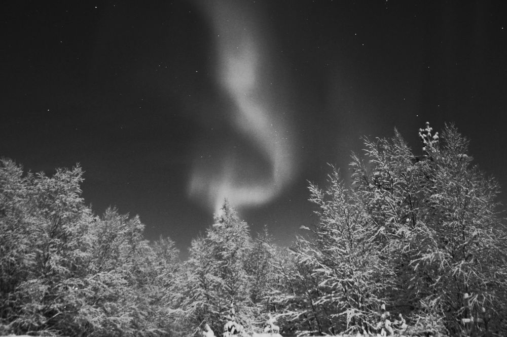 Фотография автора Светлана Терехова