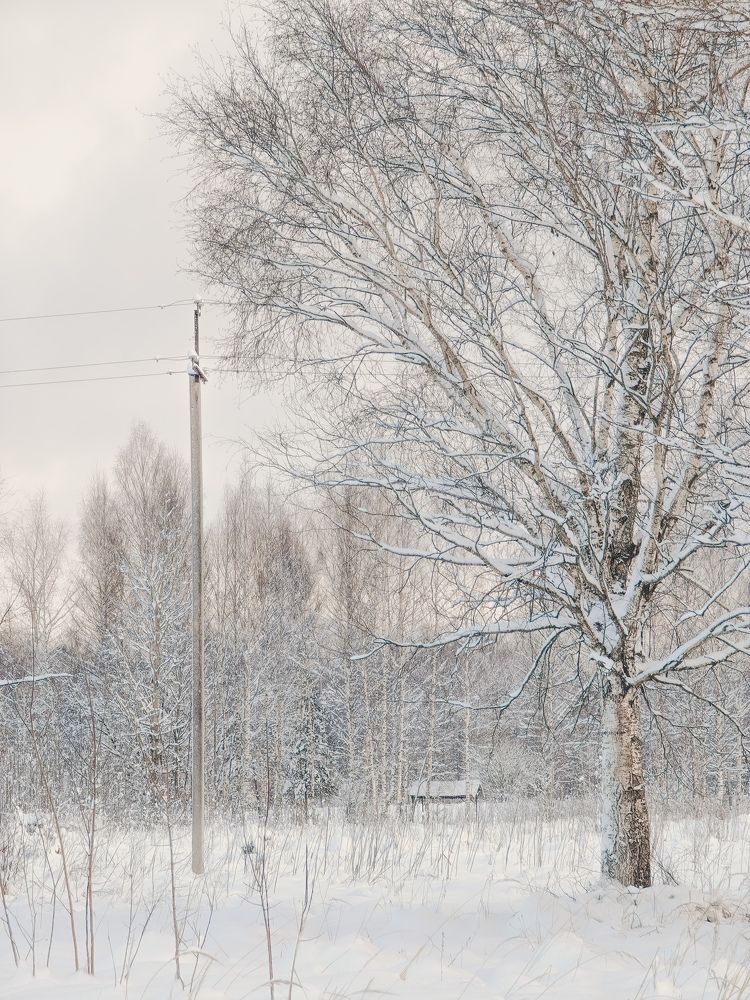 Фотография автора Данилова Наталья