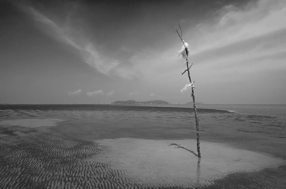 Photograph by Nam Tran Duy