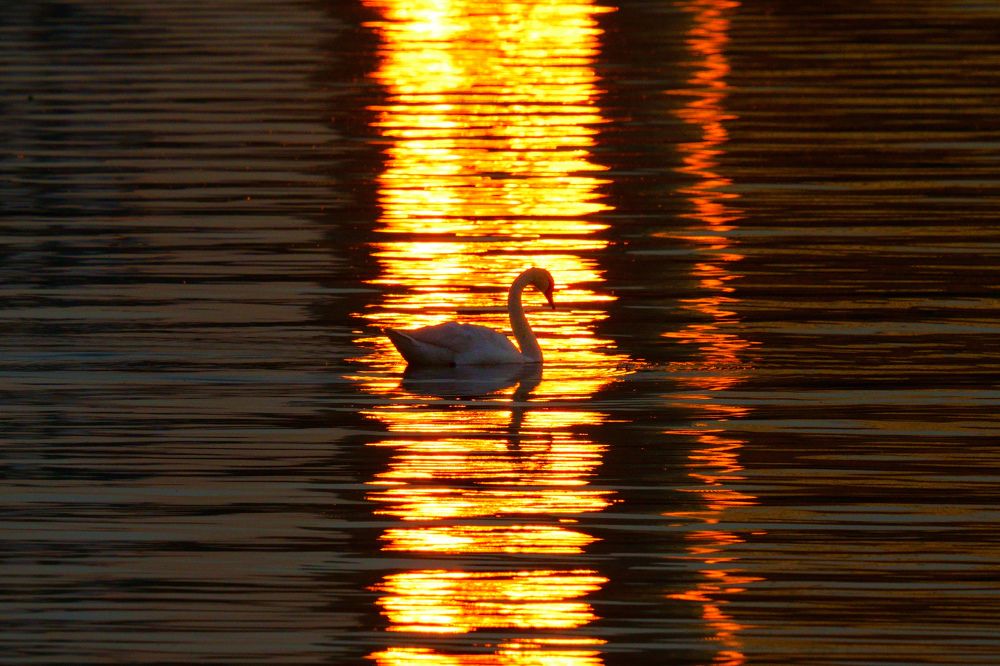 Photograph by Дмитрий Дрозд