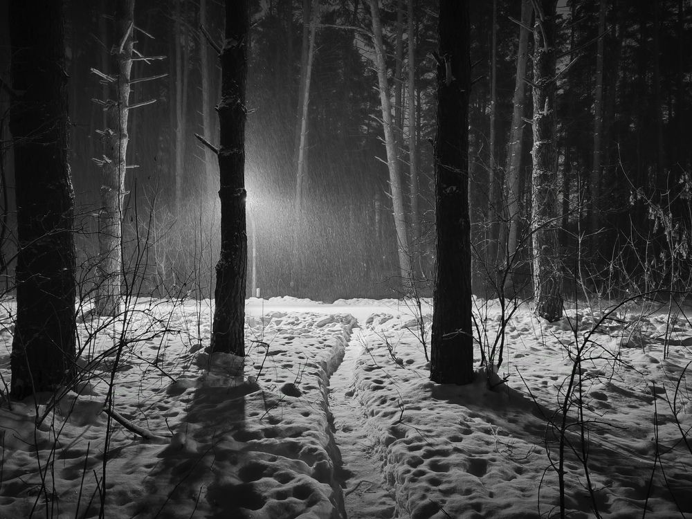 Photograph by Денис Хасанов