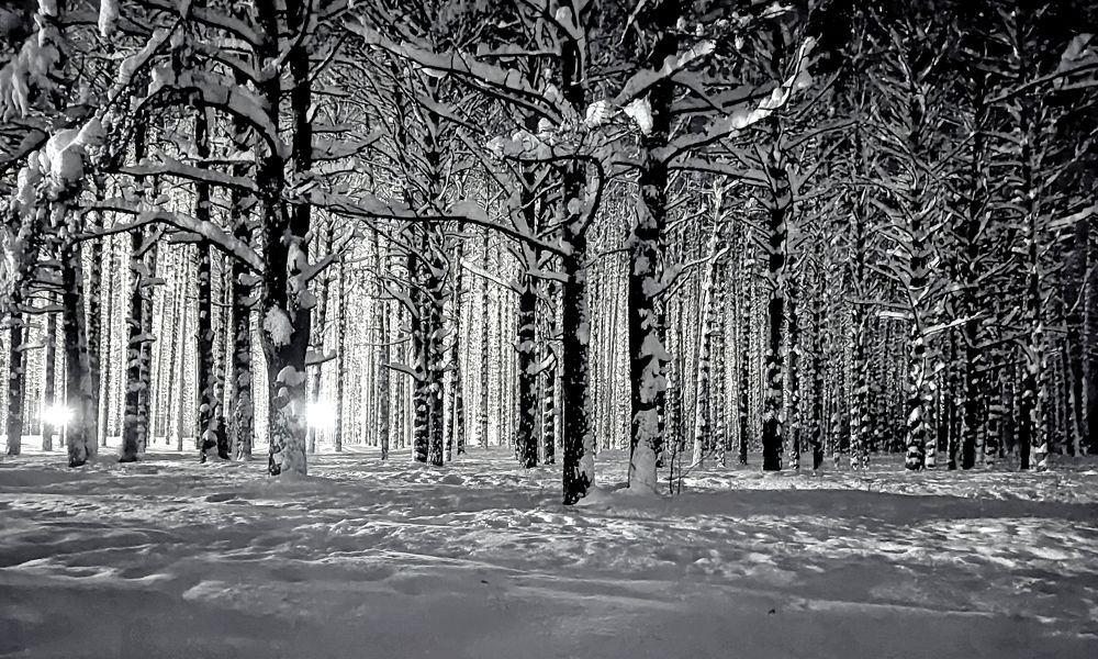 Photograph by Денис Хасанов