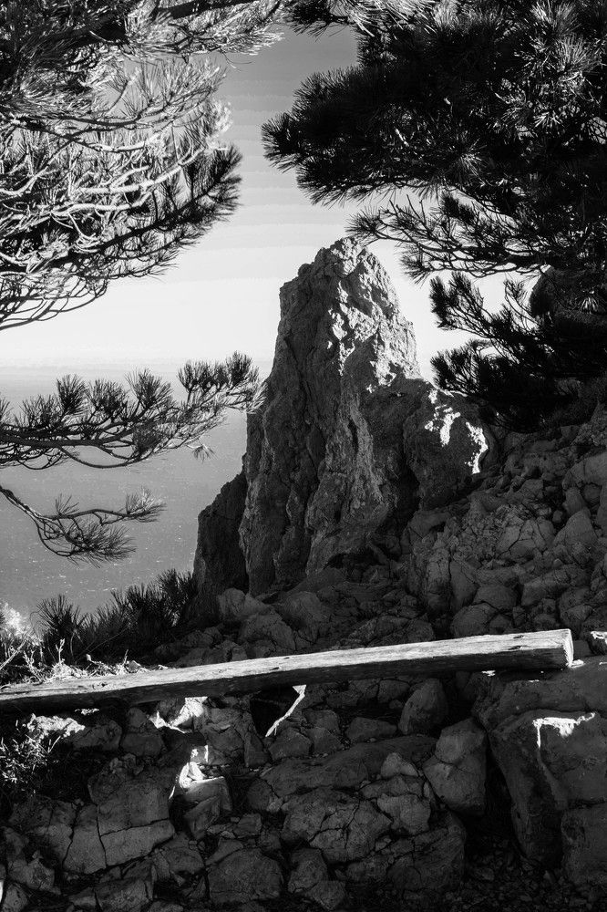 Photograph by Карнаухов Алексей