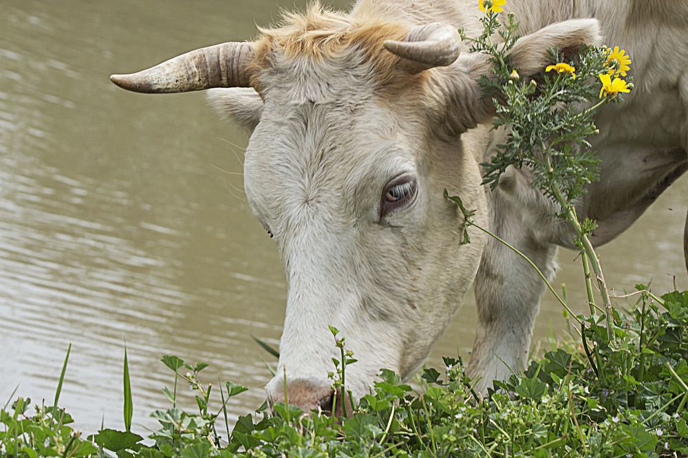 Photograph by Валентина Лопаткина