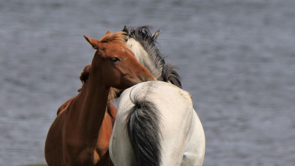 Photograph by Валентина Лопаткина