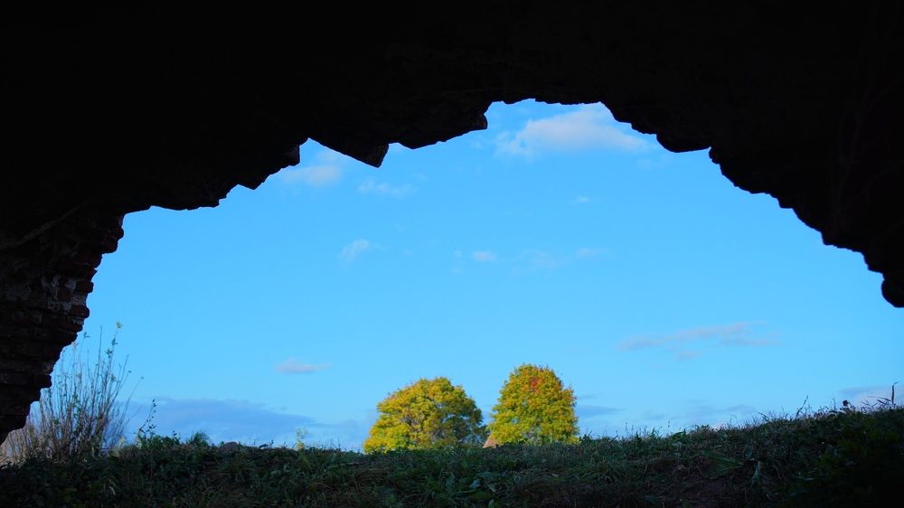 Из-под земли