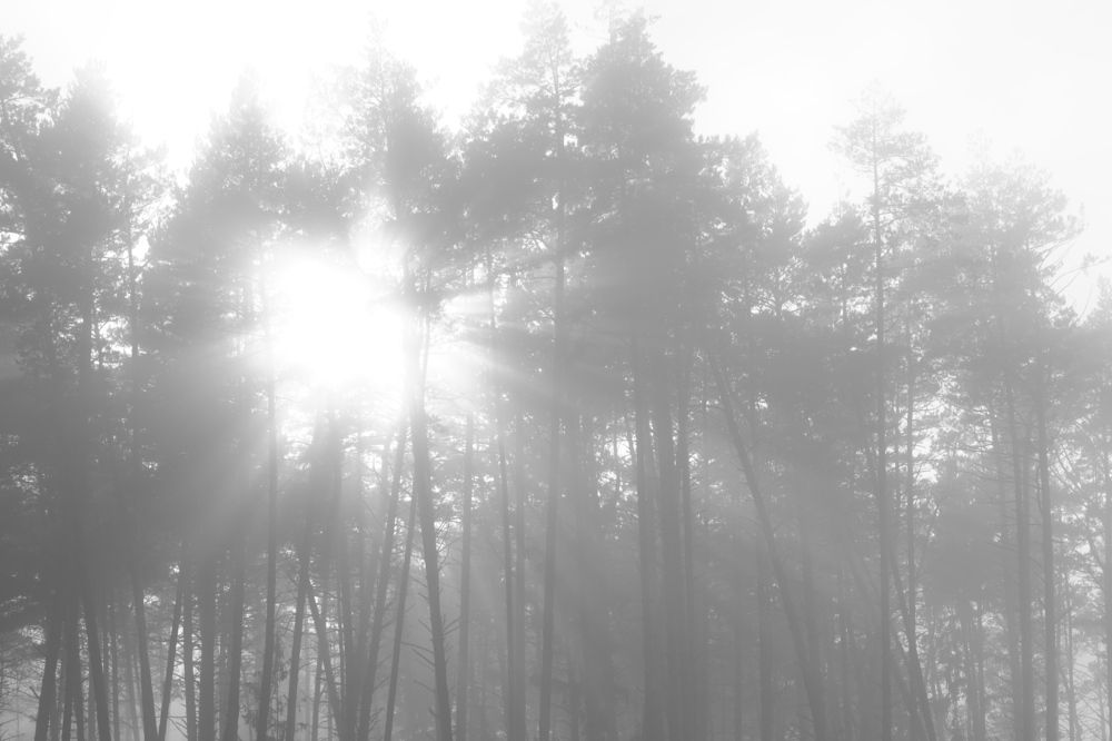 Photograph by Владимир