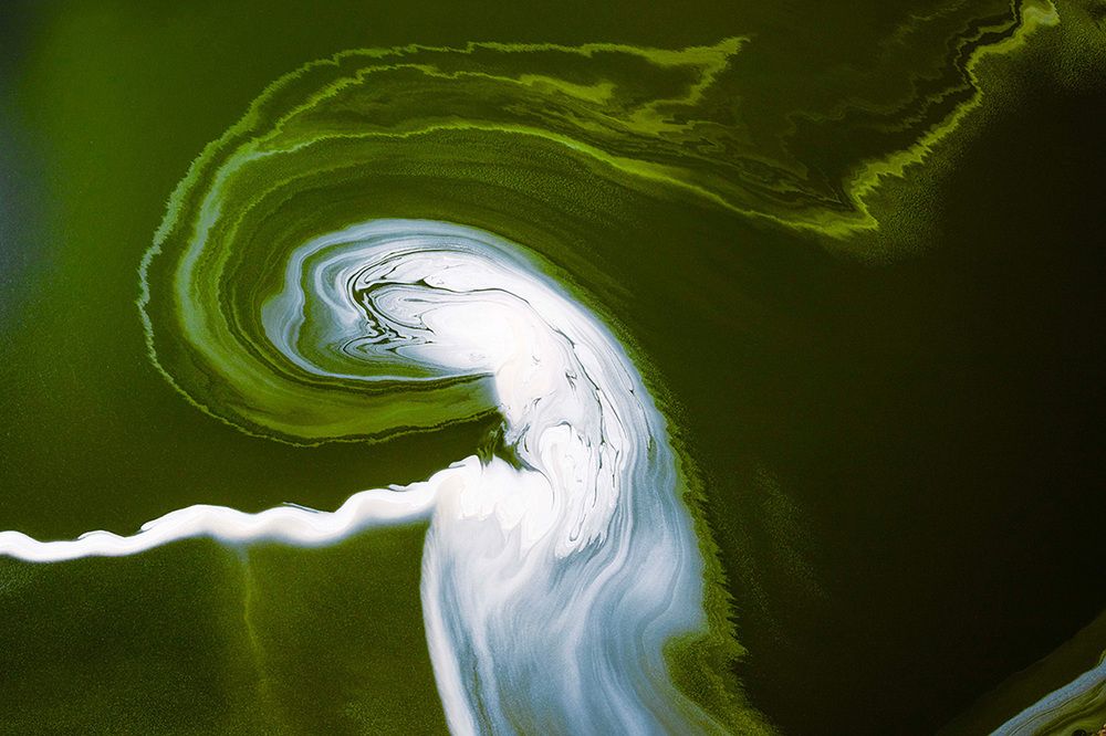 Фотография автора Bhupender Gupta