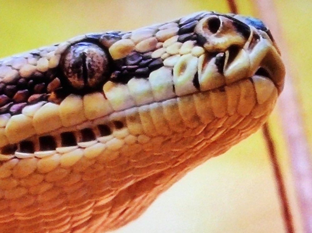 Photograph by Галина