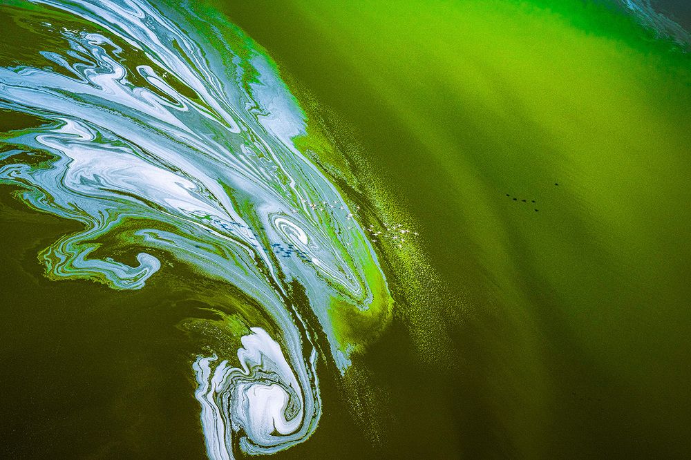 Фотография автора Bhupender Gupta