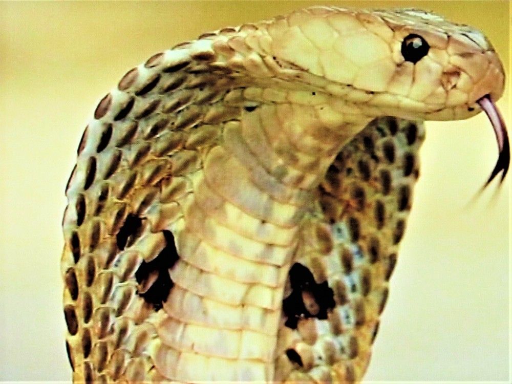 Photograph by Галина