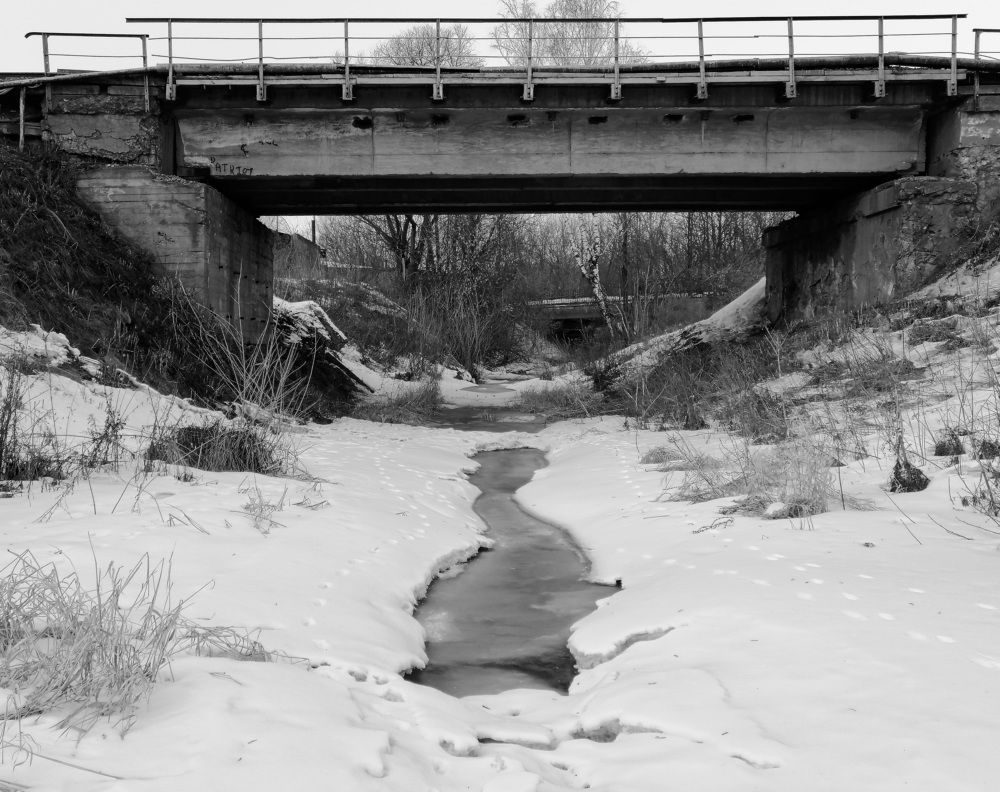 Фотография автора Кристина Феминова