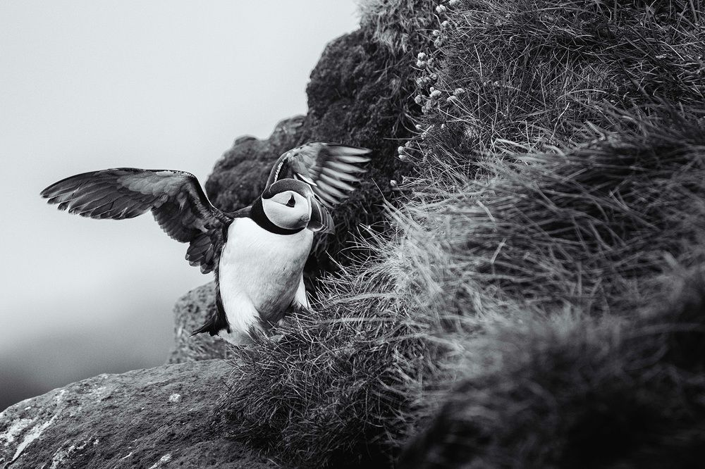 Фотография автора Bhupender Gupta