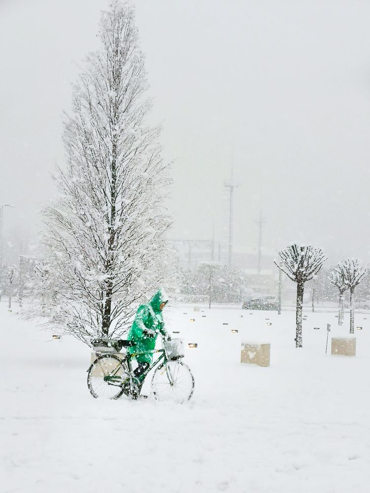 Photograph by Андрей Евтеев