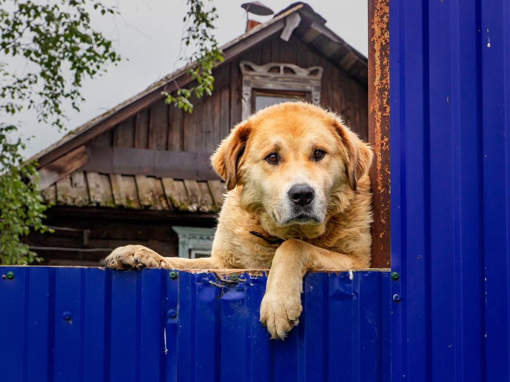 Ты это, заходи если что...