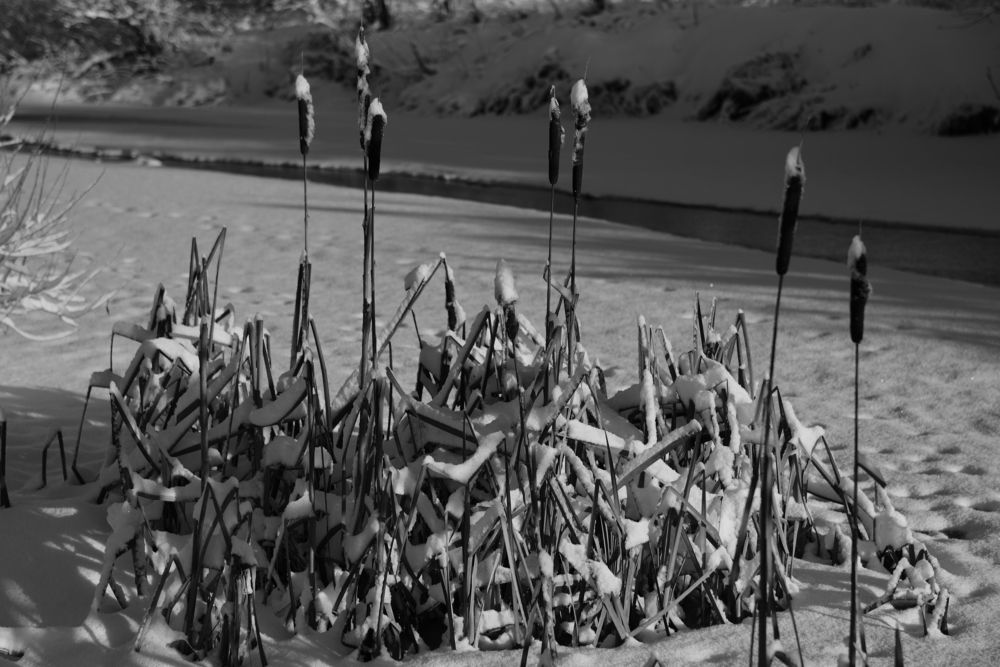 Photograph by Семен Батов