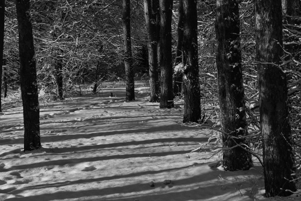 Photograph by Семен Батов