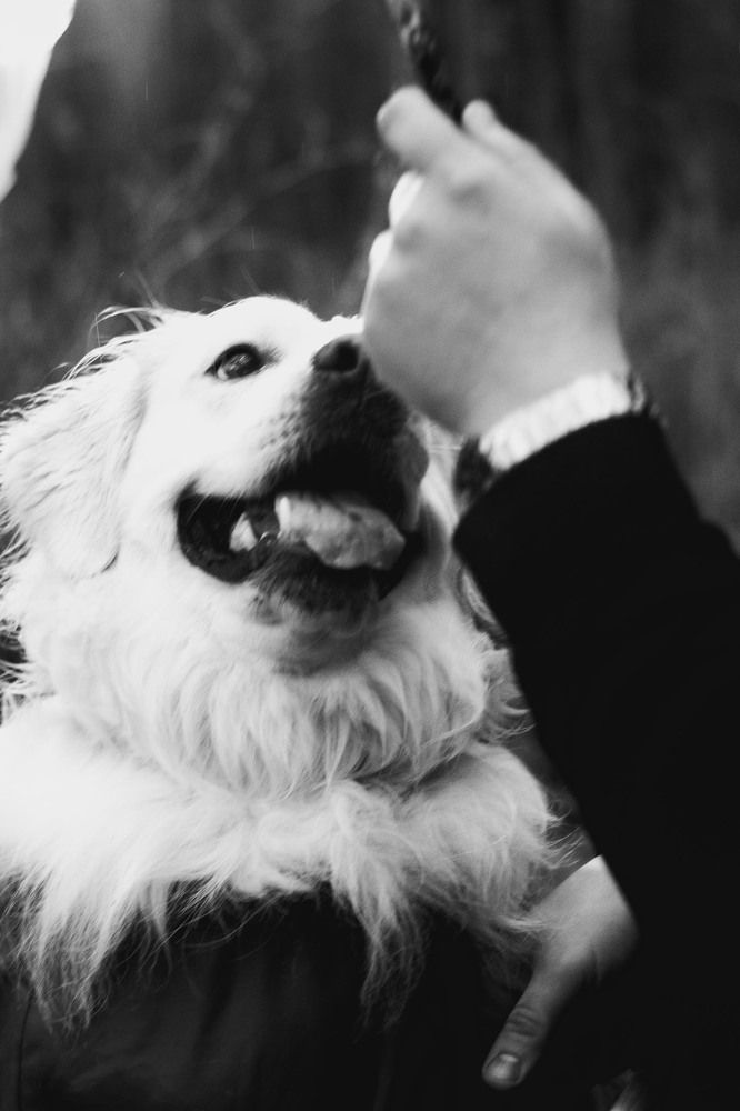 Photograph by Ольга Тютина