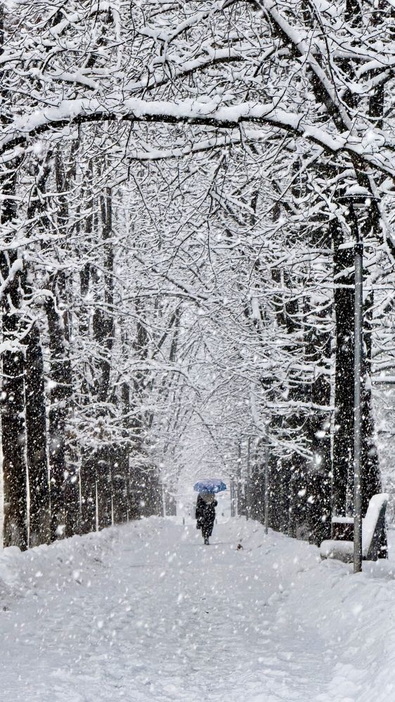 Photograph by Ольга Бибекина