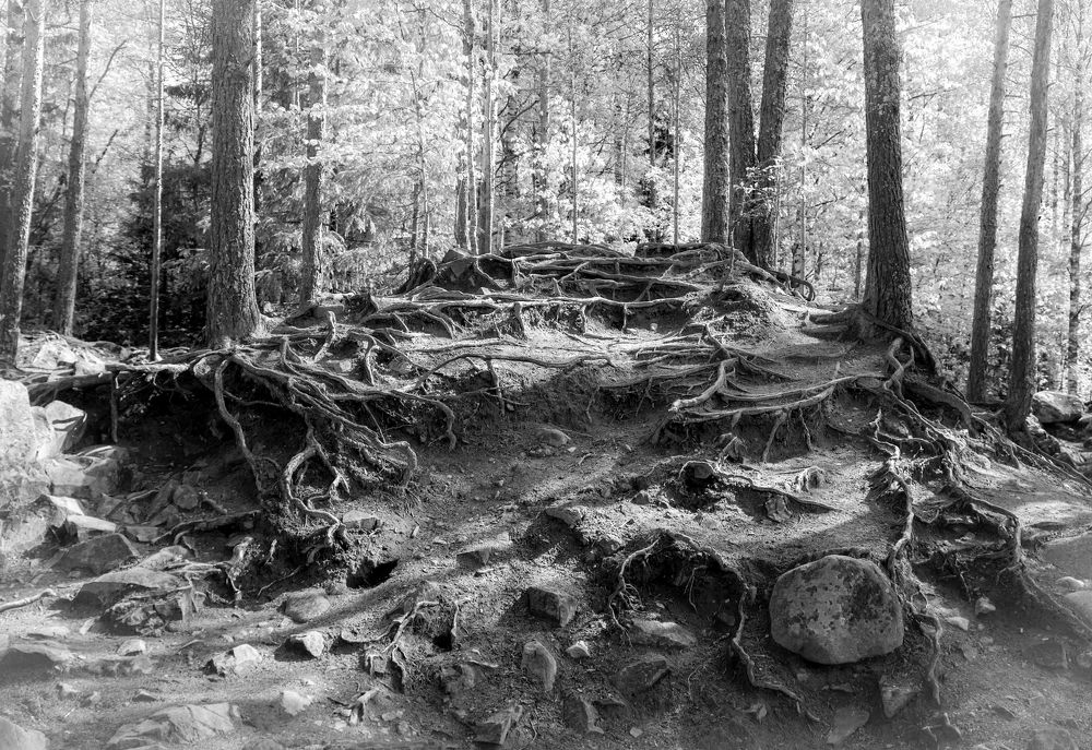 Photograph by Gennadiy Slezkin