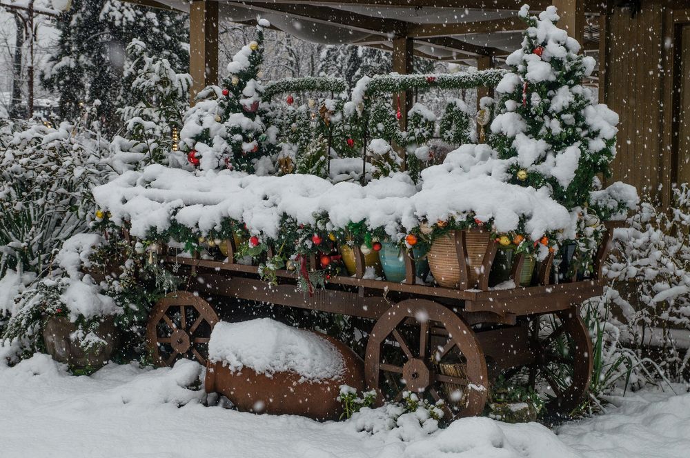 Photograph by Андрей Евтеев