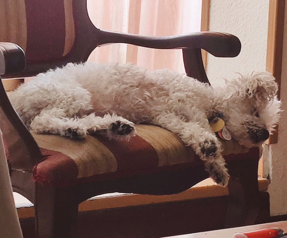 Photograph by Ennovi