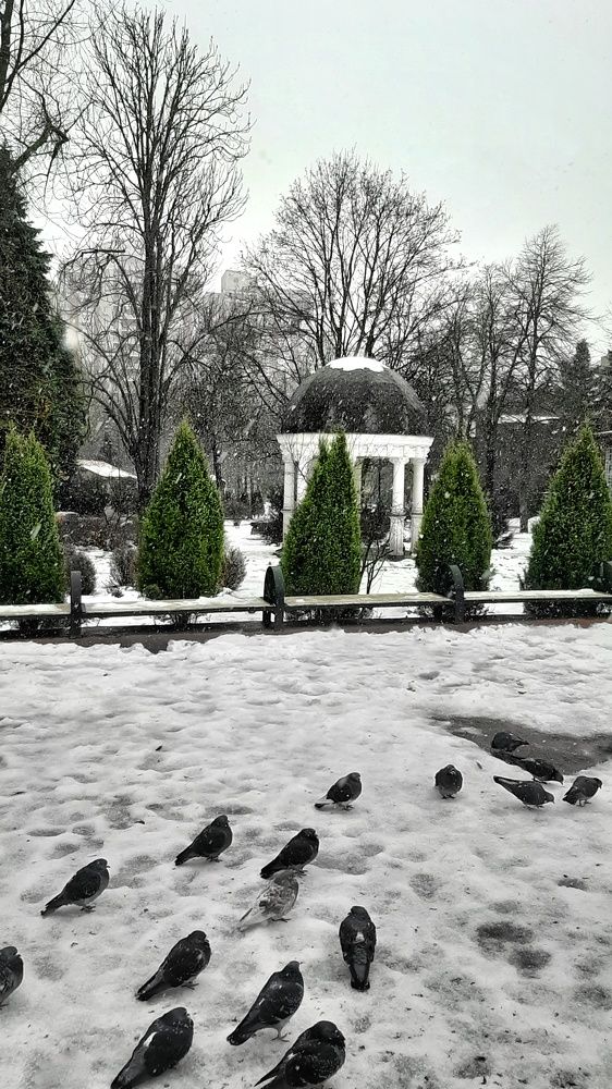 Photograph by Александр Лопатин