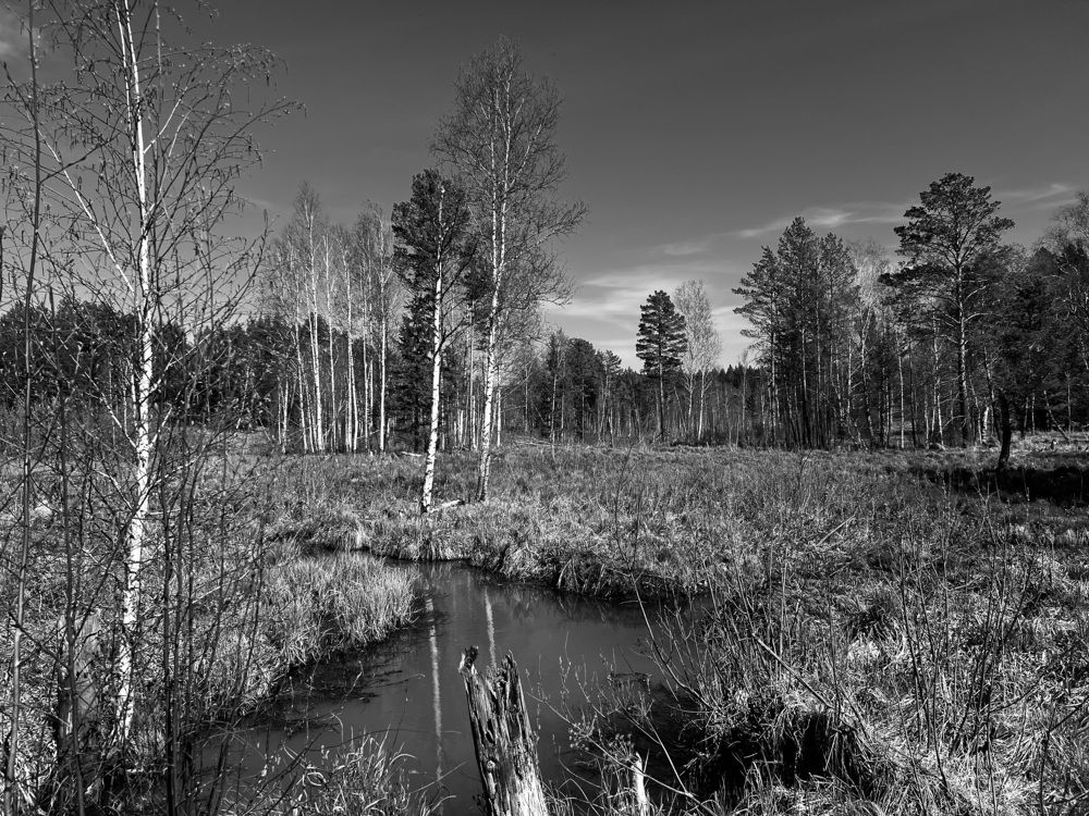 Photograph by Елена Змейкова
