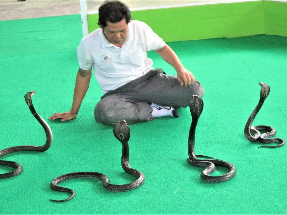 Photograph by Галина