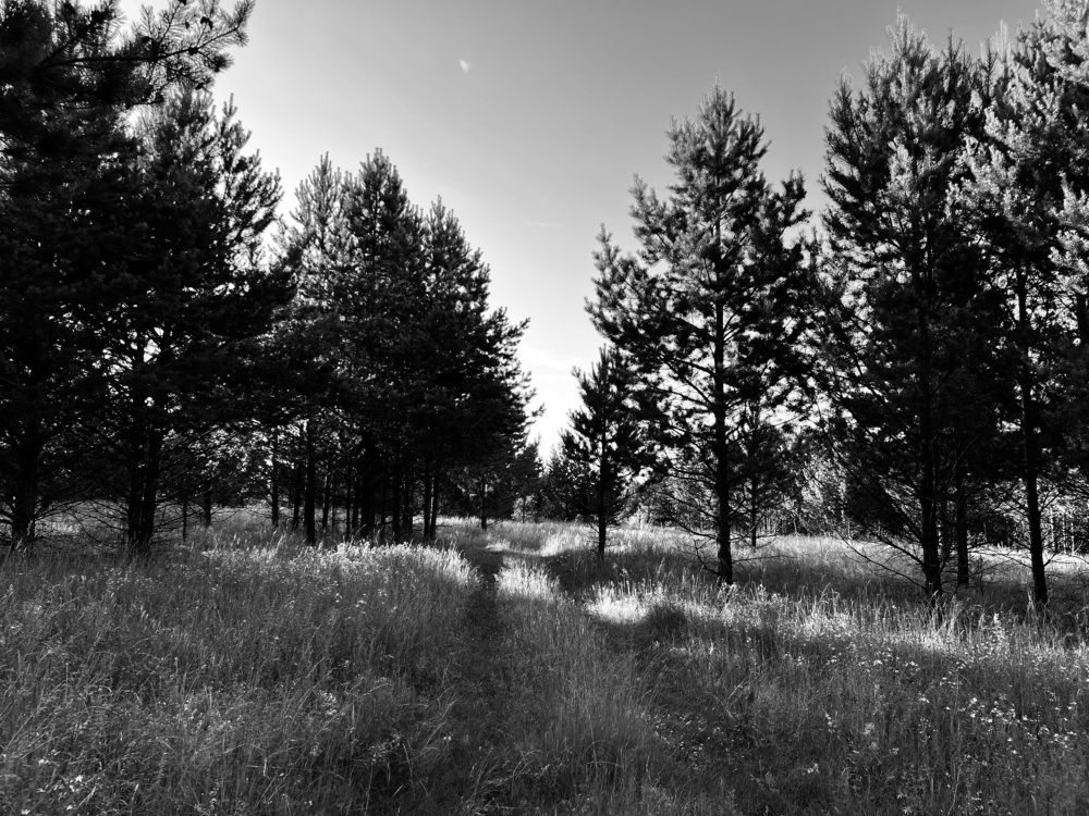 Photograph by Елена Змейкова