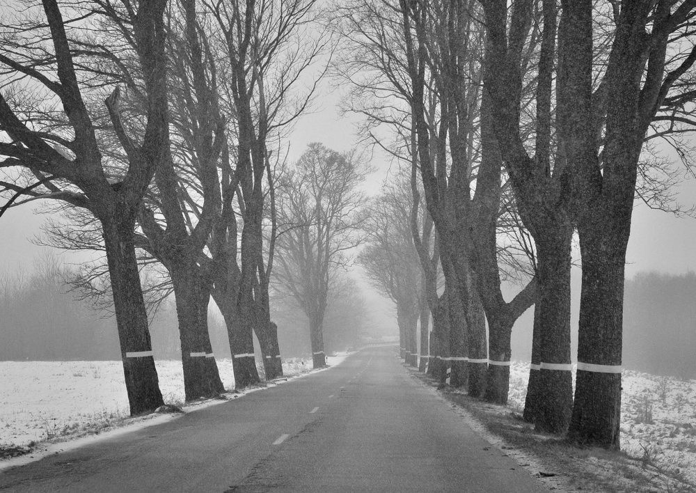 Photograph by Юлия Абрамова