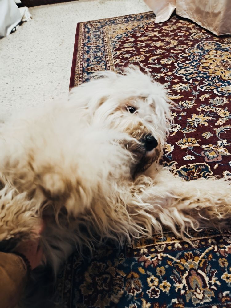 Photograph by Ennovi