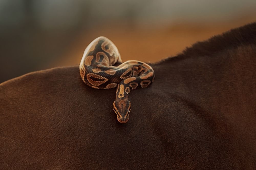 Photograph by Онучина Юлия