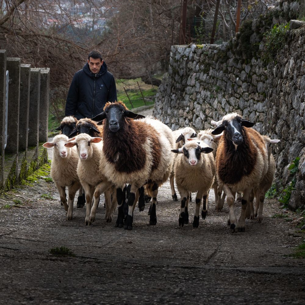 Photograph by Анна Стрелковская