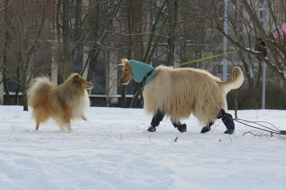 Photograph by Валерия Яскович