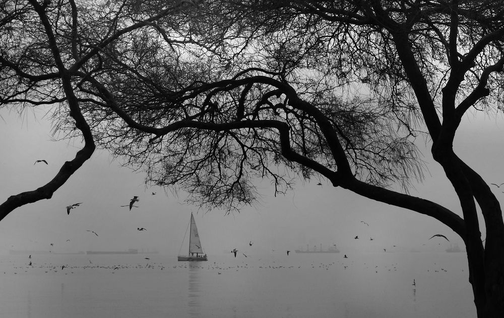 Photograph by Süleyman Ülker