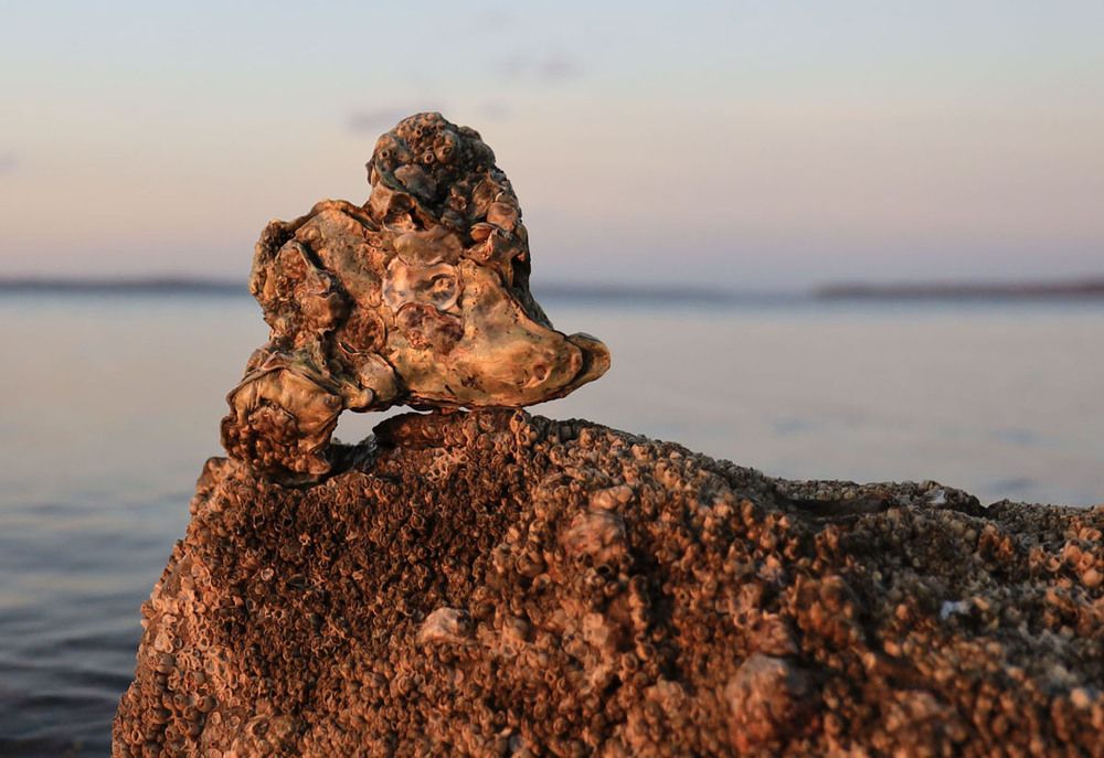 Photograph by Александр Корнелюк