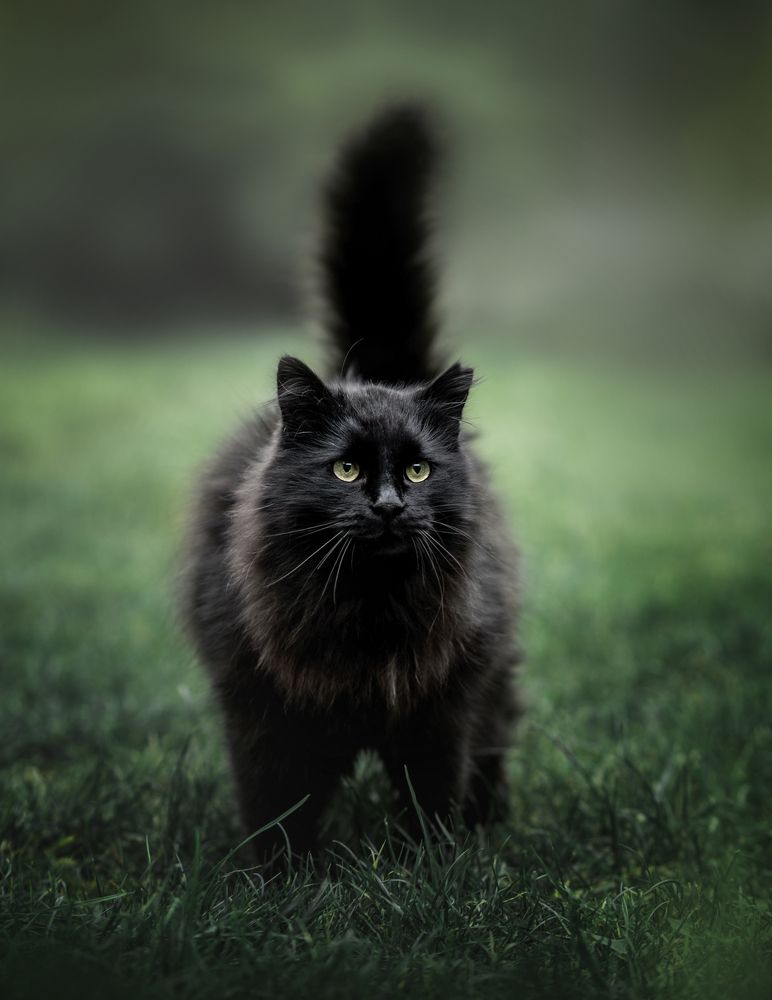 Photograph by Юлианна Митрофанова