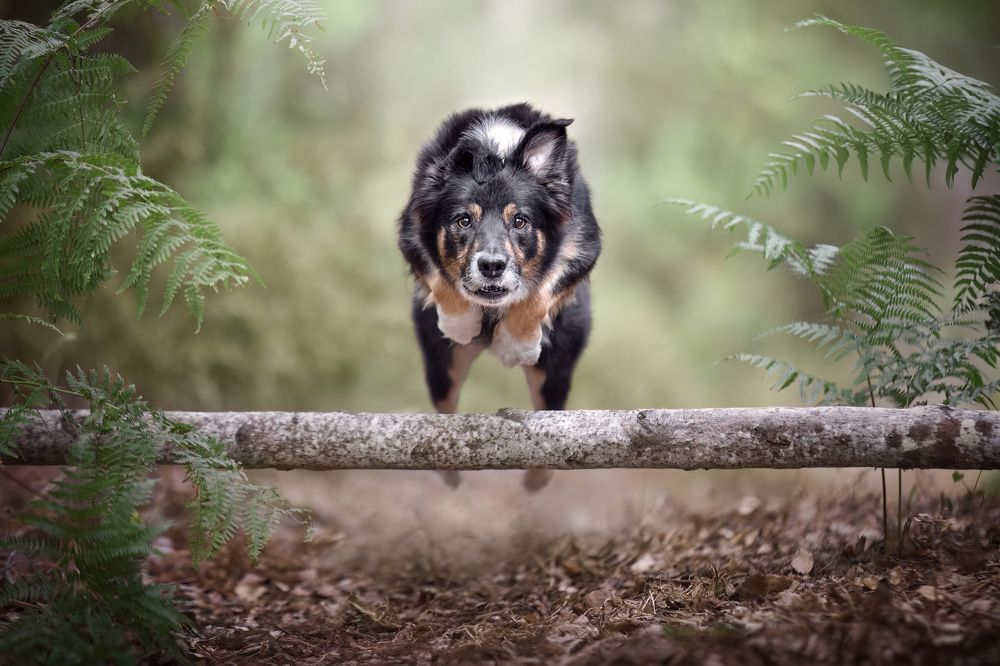 Photograph by Leticia Hernandez