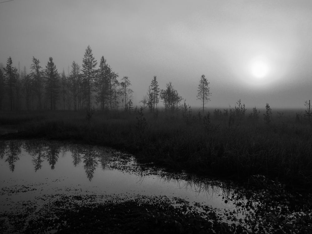 Photograph by Сергей Гаврилов