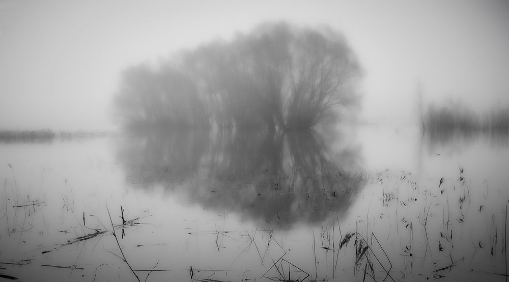 Photograph by Борис Дацковский