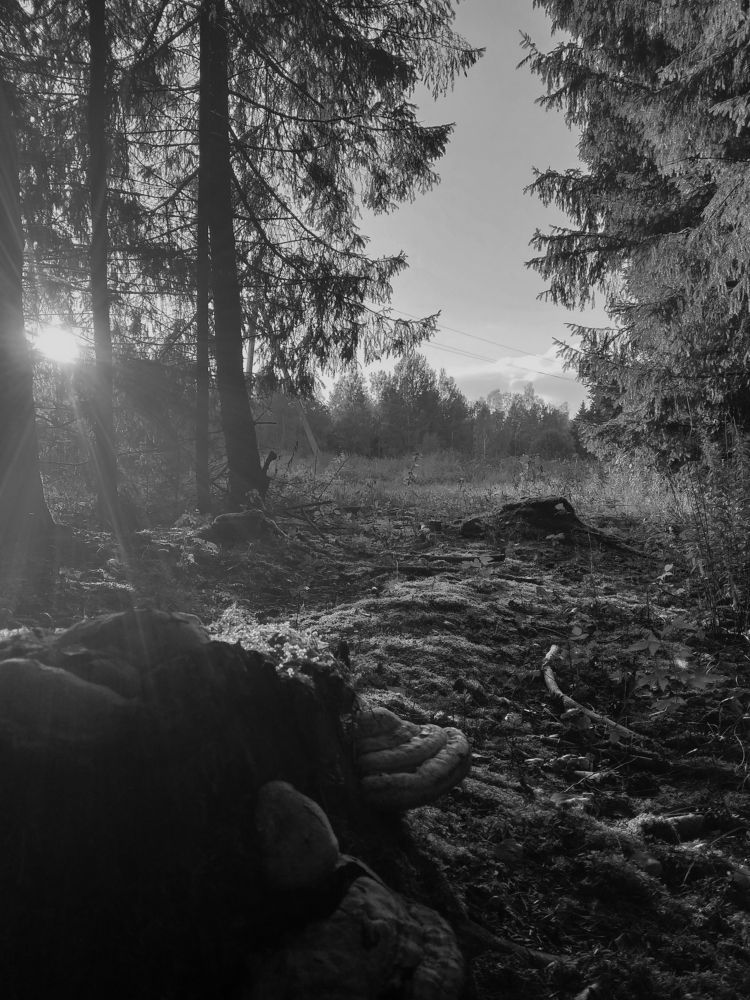 Photograph by Владимир Воложинский