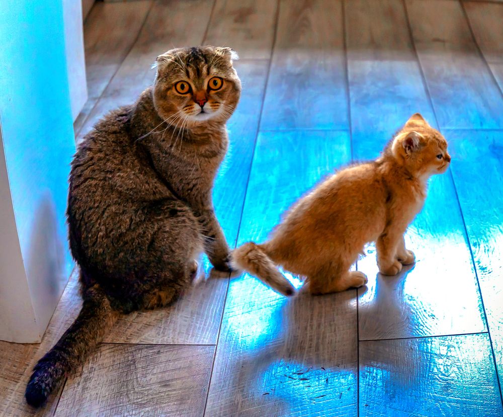 Photograph by Валентин Кузьмин