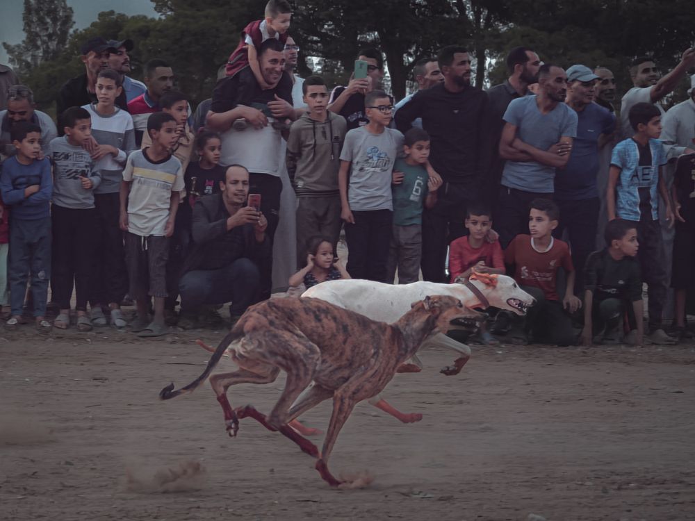 Photograph by Bachir Rabouh