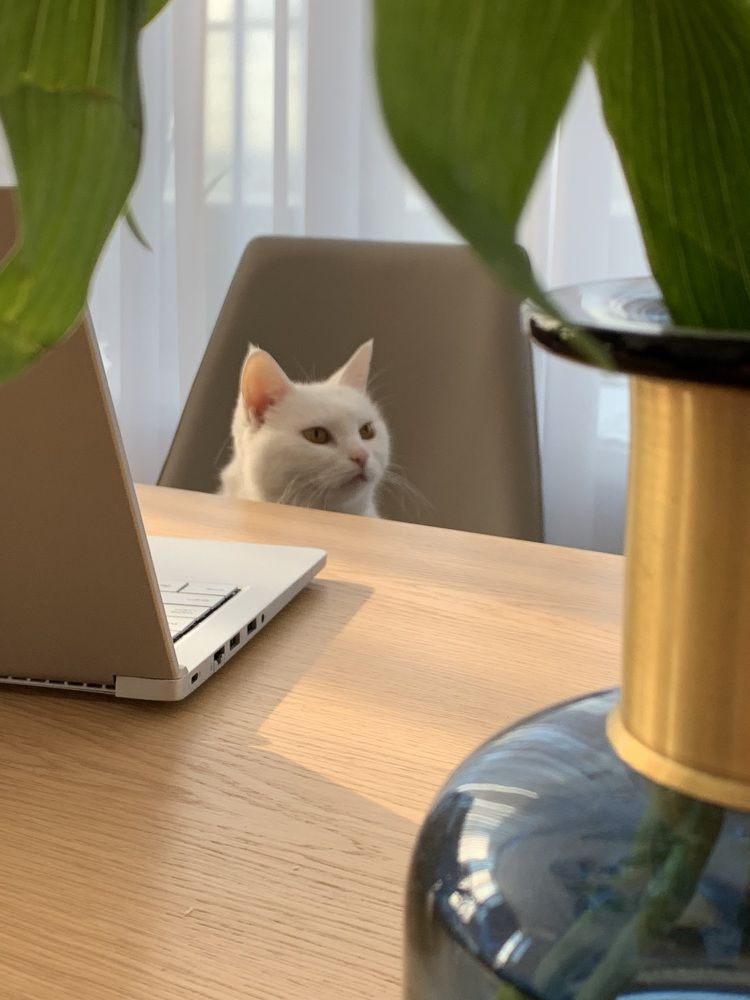 Photograph by Илья Разумцев