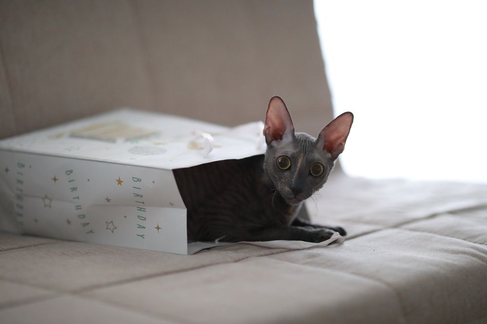 Photograph by Дарья Юсарева